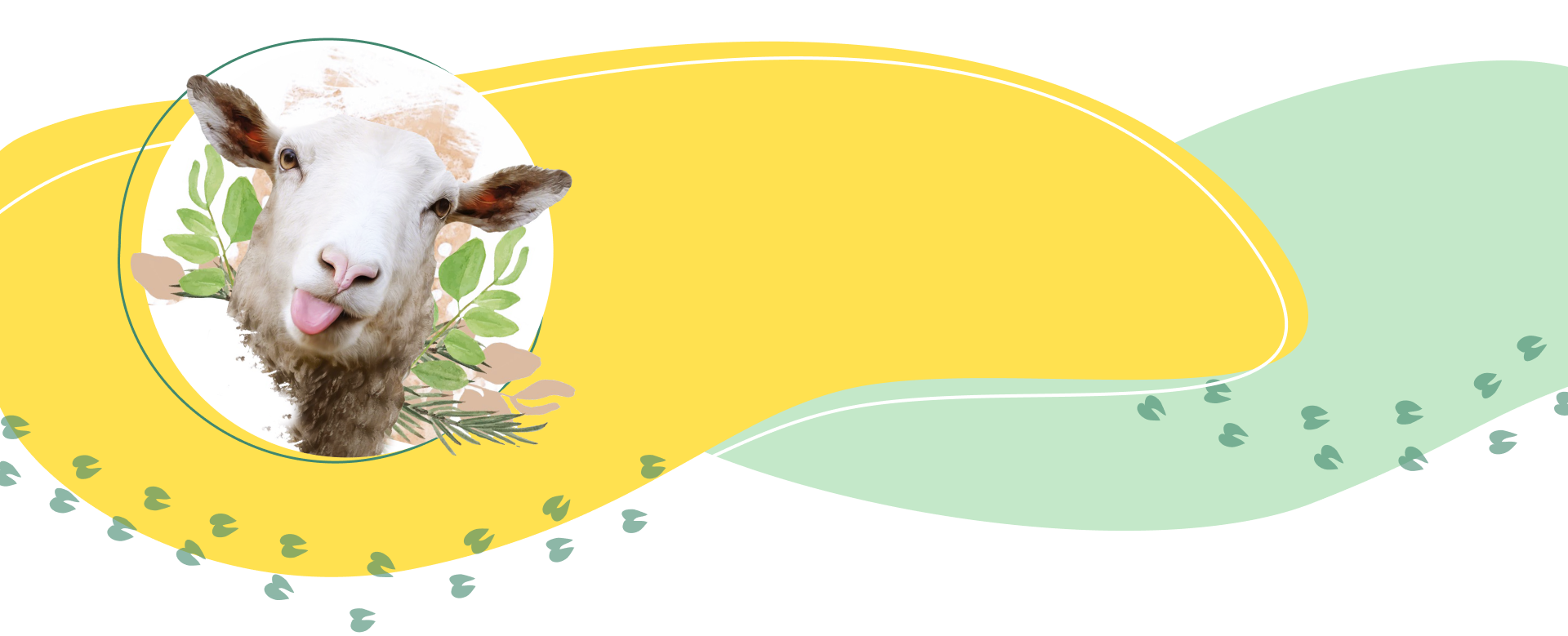 Промо